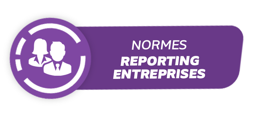 Normes reporting d'entreprise