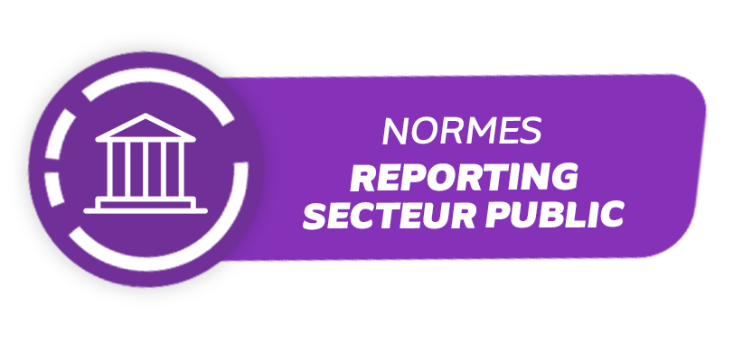 Normes reporting secteur public